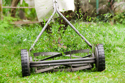 芝刈り機は絶対に手動が良い理由とおすすめ商品 注文住宅で幸せ家族生活